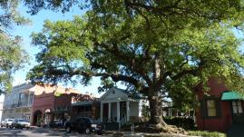 Opelousas