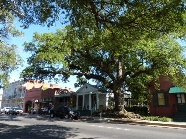 Opelousas